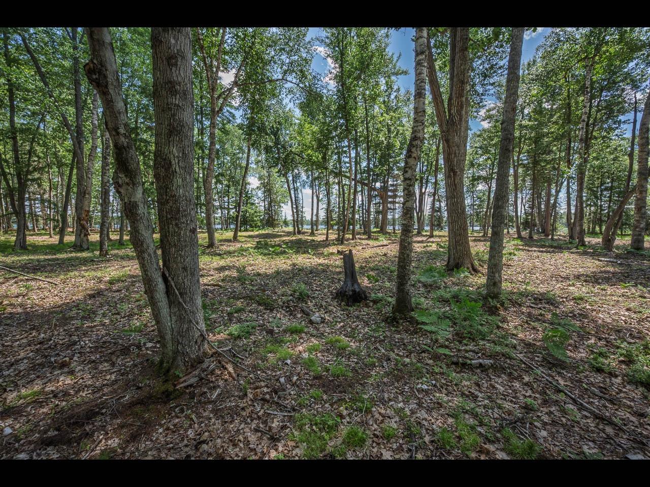 Lot 141 Kindling Point Eagle River, WI 54521 - Photo 15 of 19 Gallery Image 15