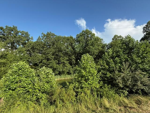 4527 Keavy Road London, KY 40744 - Photo 4 of 22 image5