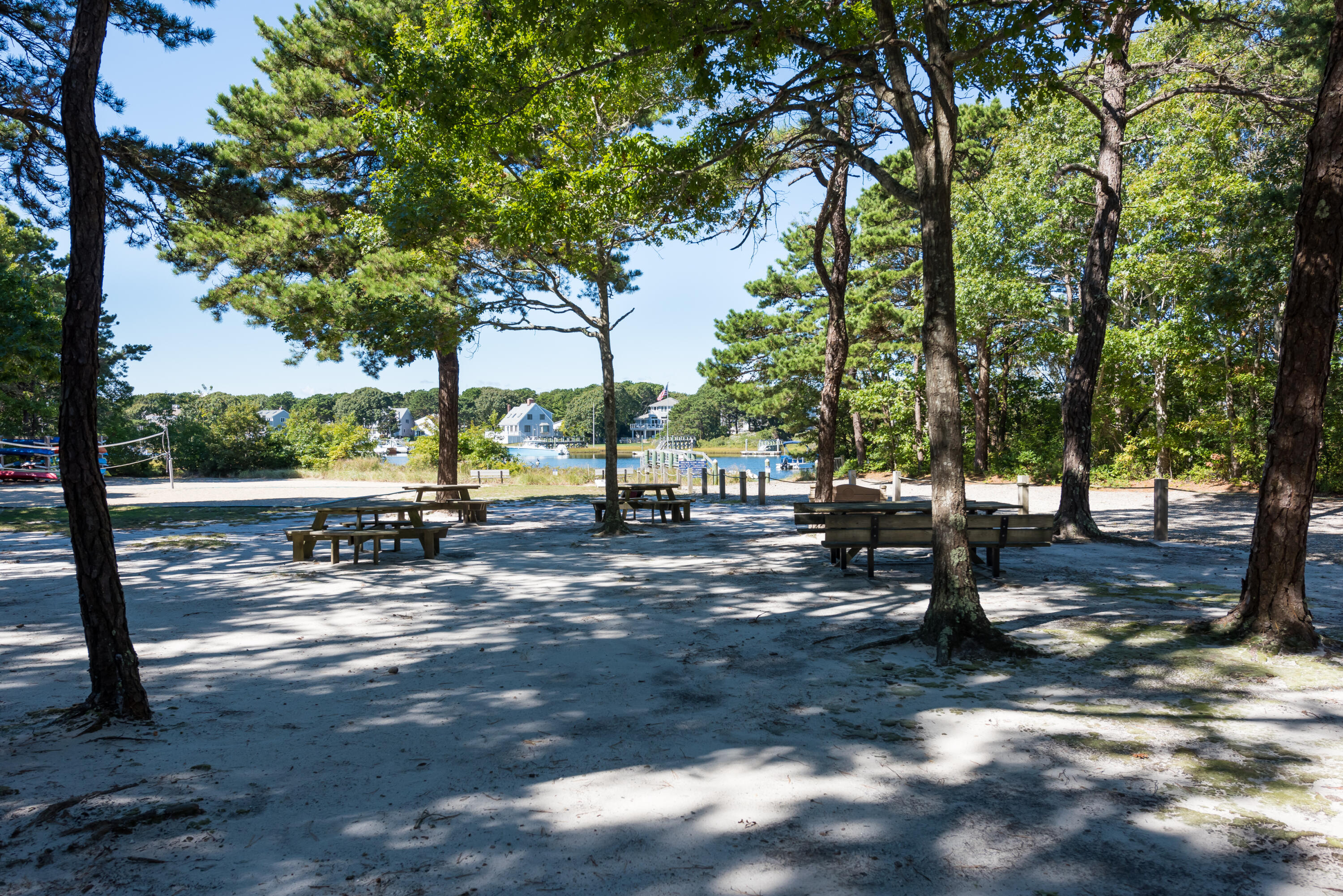 3 Neshobe Road Mashpee, MA 02649 - Photo 7 of 36 a view of a park with tree s