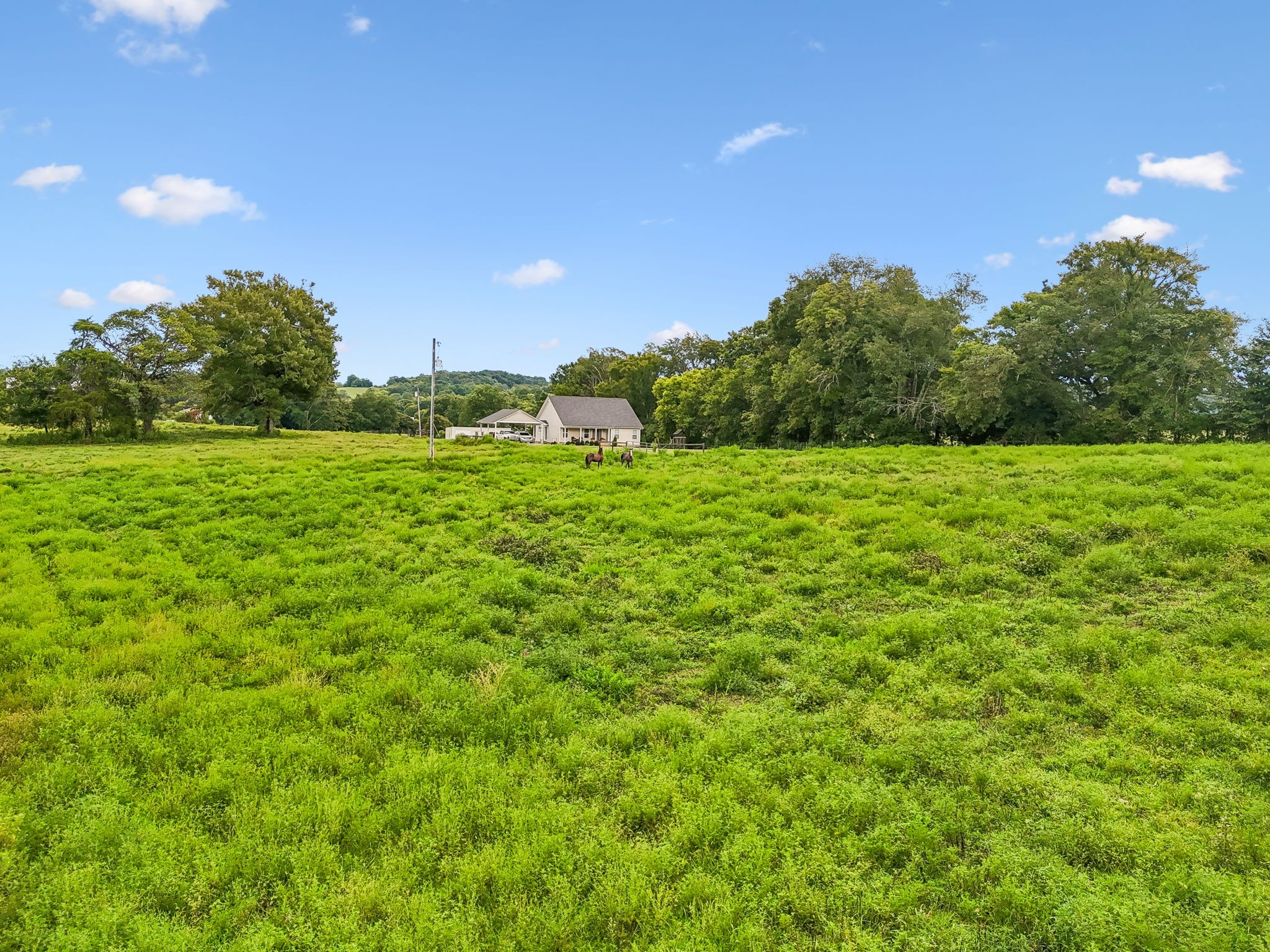 950 Old Agnew Road Pulaski, TN 38478 - Photo 41 of 94 Gallery Image 41