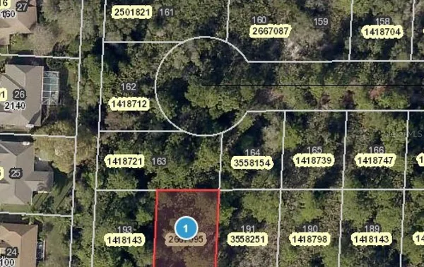 $12,000 | Park Forest Boulevard, Mount Dora, FL 32757