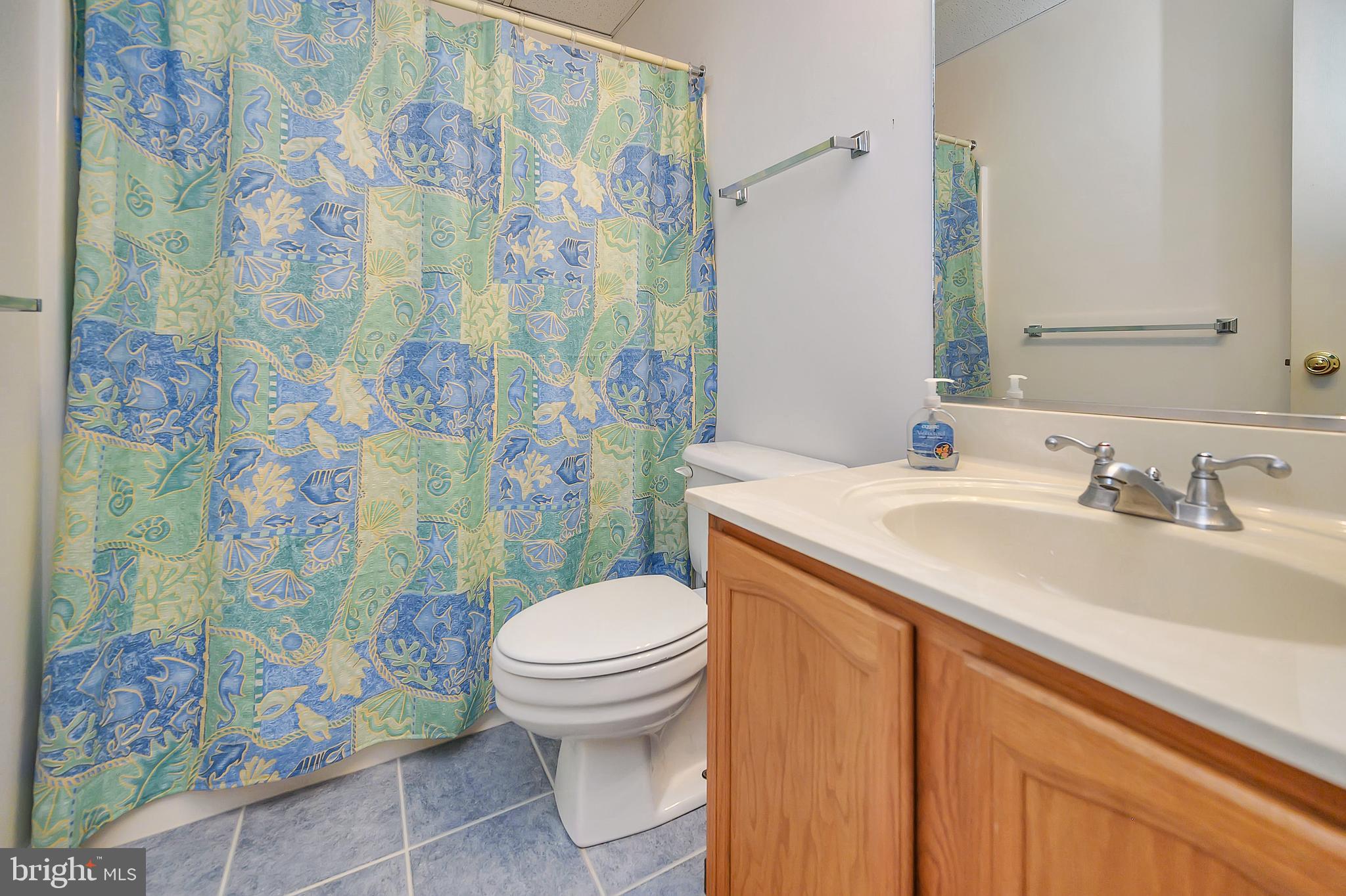 109 Indian Hills Road Locust Grove, VA 22508 - Photo 35 of 55 Full Bath in Basement