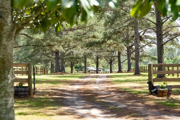 $795,000 | 660 Whispering Hill, Monticello, FL 32344