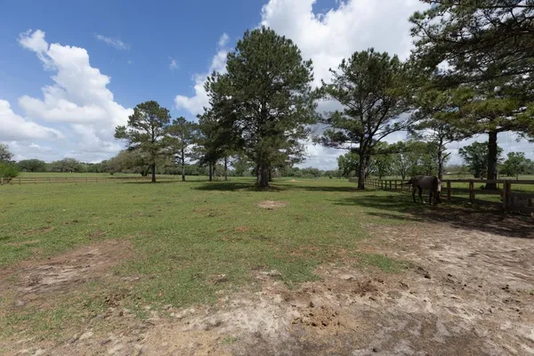 $795,000 | 660 Whispering Hill, Monticello, FL 32344