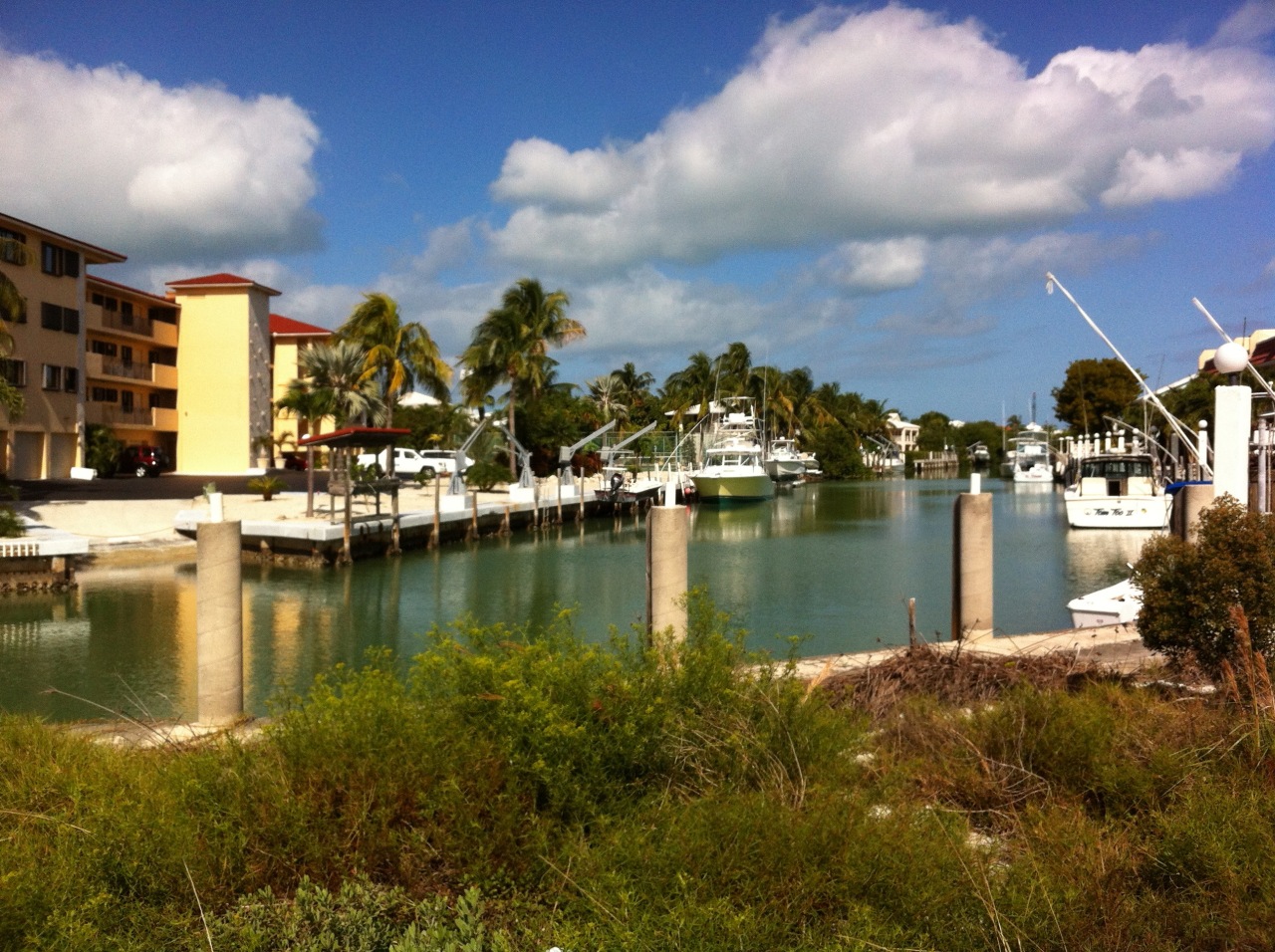 453 Sombrero Beach Road Marathon, FL 33050 - Photo 4 of 7 canal view from land