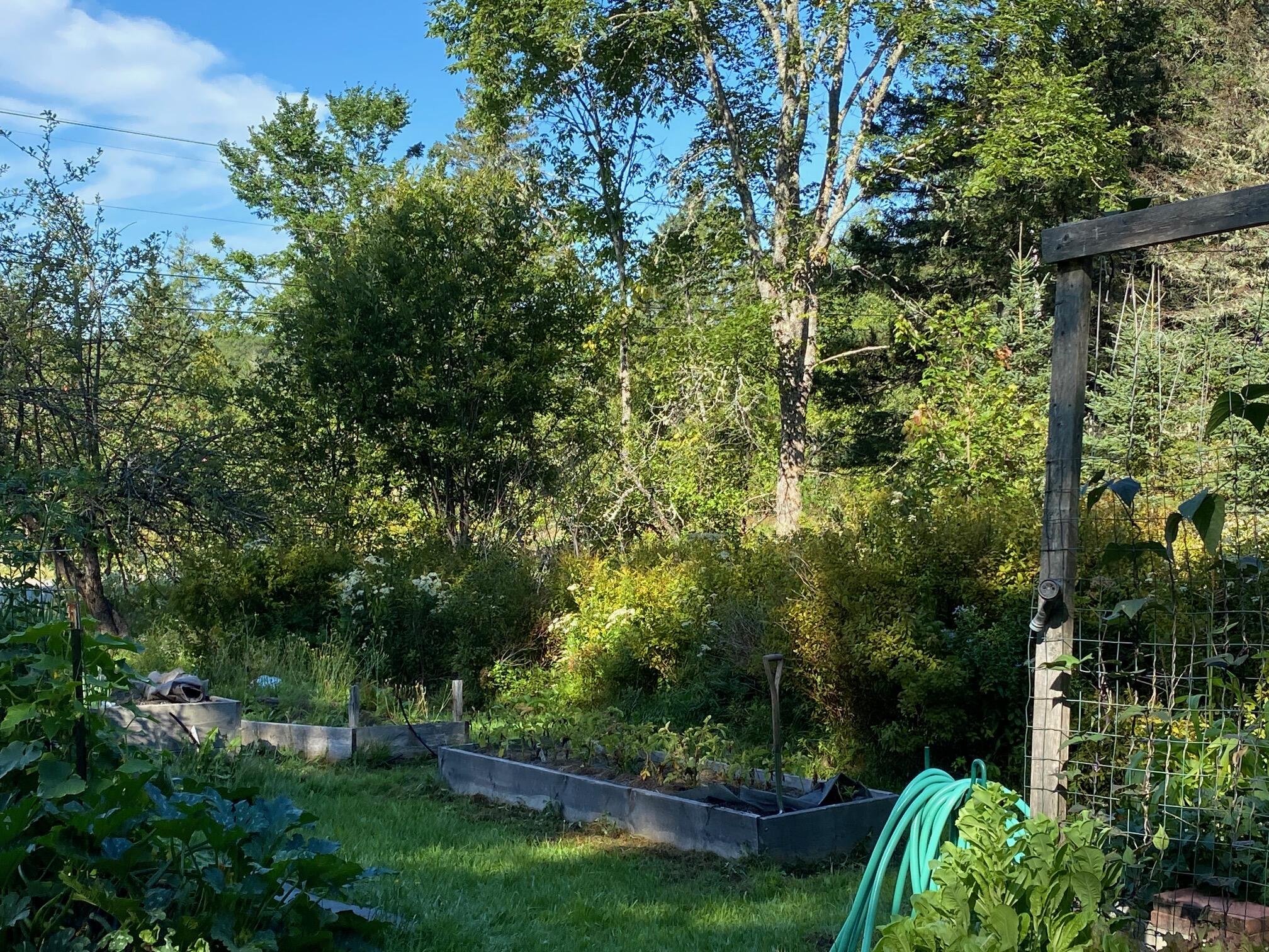 344 Old County Road Pembroke, ME 04666 - Photo 18 of 56 Gardens