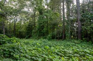 585 Mountain Road Westminster, SC 29693 - Photo 16 of 20 Discover a tranquil, tree-lined lot offering abundant natural privacy.