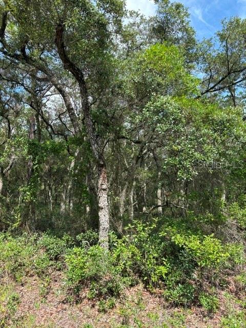 Tba Southwest Winding Hills Road Dunnellon, FL 34431 - Photo 2 of 3