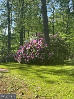 1334 Kuhn Road Boiling Springs, PA 17007 - Photo 22 of 23 Gallery Image 22