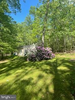 1334 Kuhn Road Boiling Springs, PA 17007 - Photo 4 of 23 Gallery Image 4