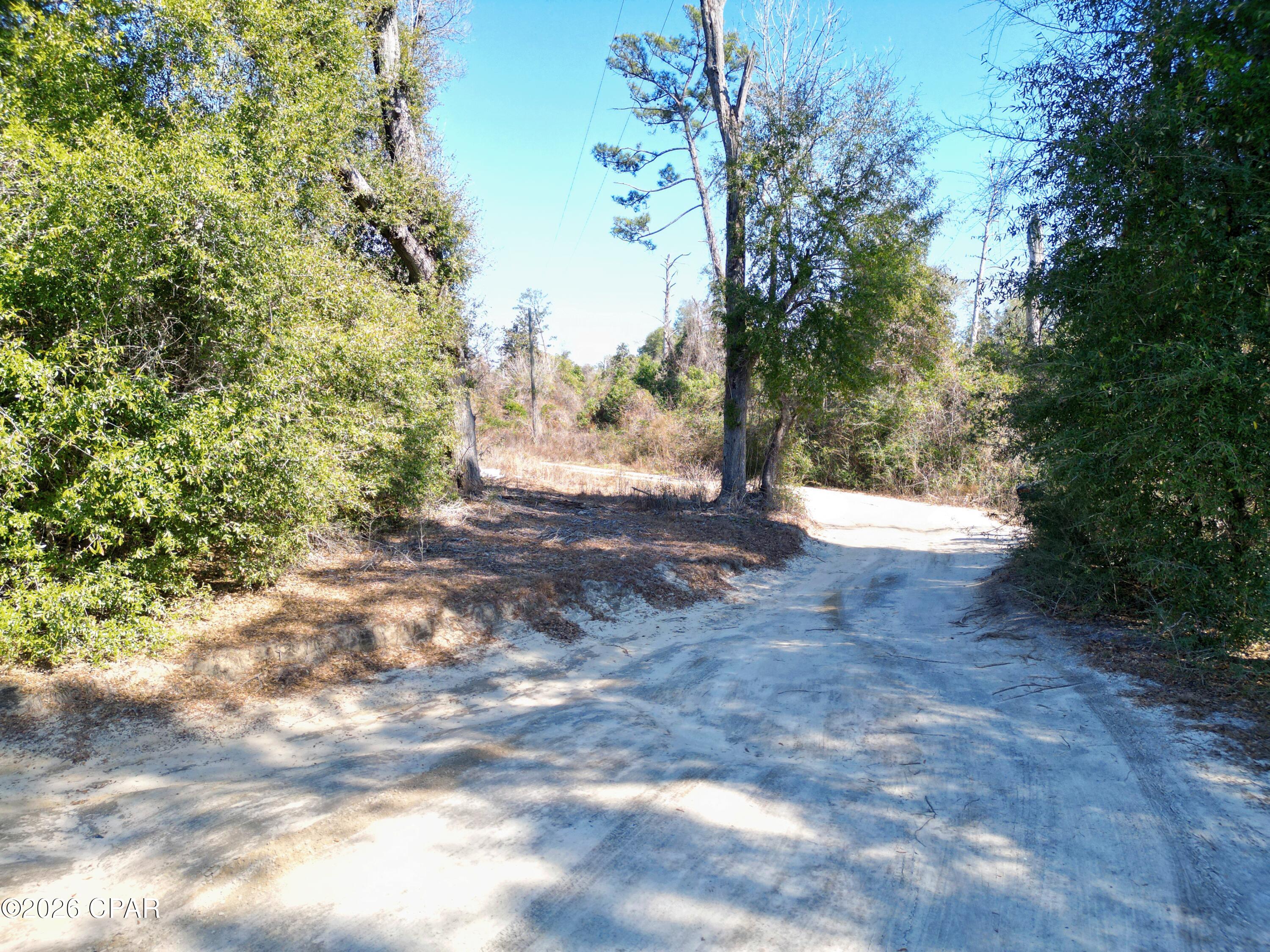 7849 Leatherneck Trail Grand Ridge, FL 32442 - Photo 7 of 22
