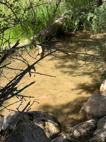 Undisclosed Address Spring City, UT 84662 - Photo 11 of 12 Natural water feature bordered by large rocks and dense vegetation