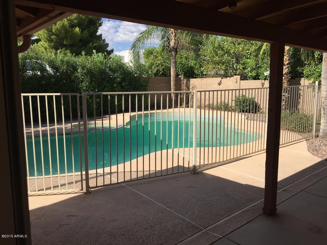 4616 East Pershing Avenue Phoenix, AZ 85032 - Photo 7 of 30 Pershing 10