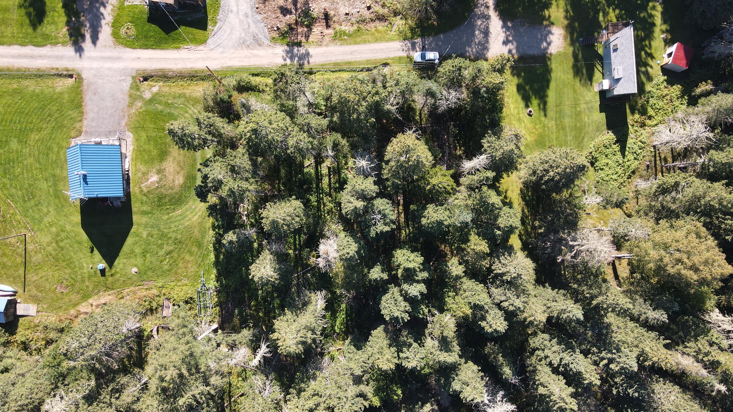 10 Nichols Road Dallas Plt, ME 04970 - Photo 8 of 14 dji_fly_20240903_161628_237_172539460656