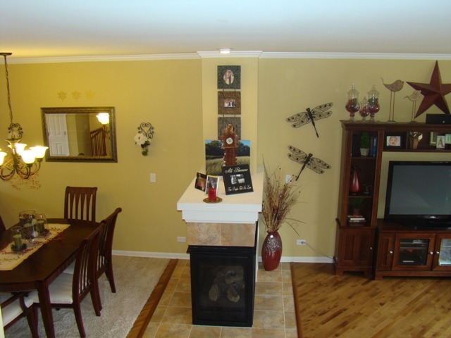 219 Jackson Street Gilberts, IL 60136 - Photo 10 of 20