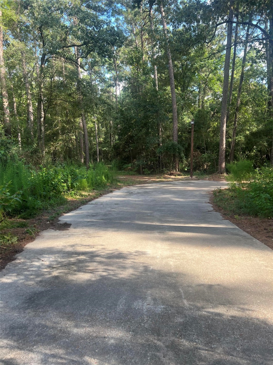 30403 Walnut Creek Road Magnolia, TX 77355 - Photo 2 of 9 a view of a yard with a trees
