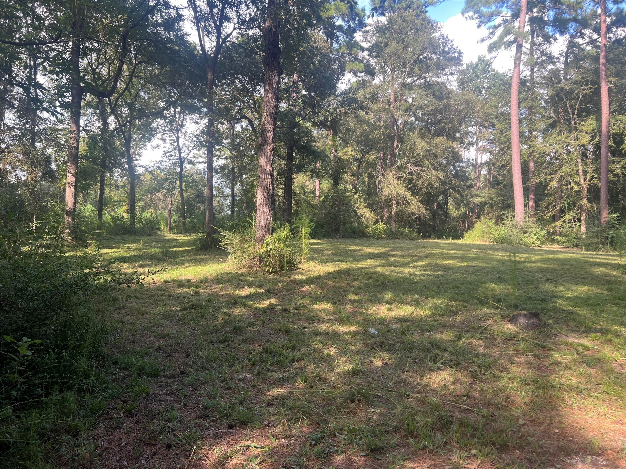 30403 Walnut Creek Road Magnolia, TX 77355 - Photo 4 of 9 a view of outdoor space with trees