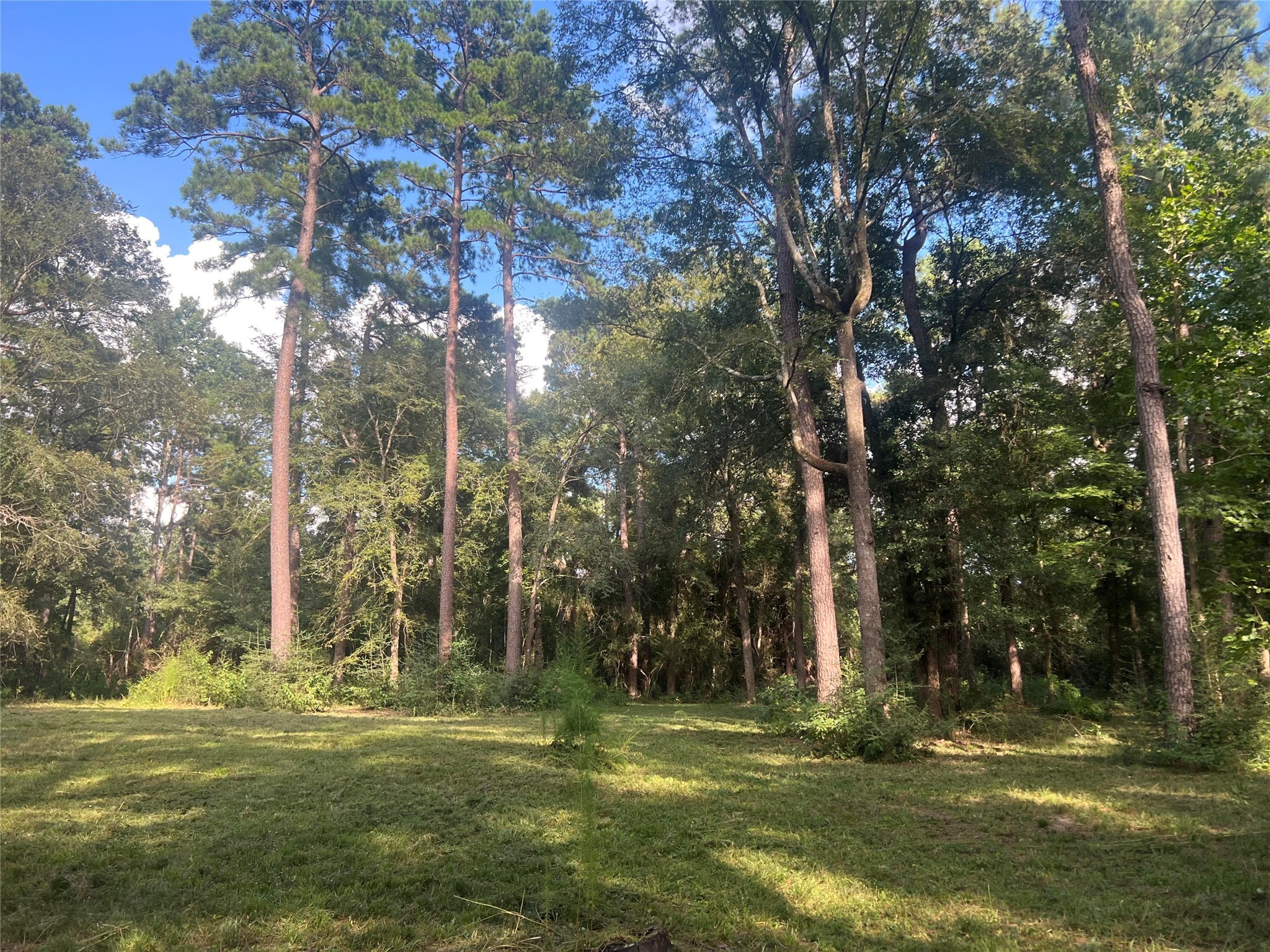 30403 Walnut Creek Road Magnolia, TX 77355 - Photo 5 of 9 a view of a park