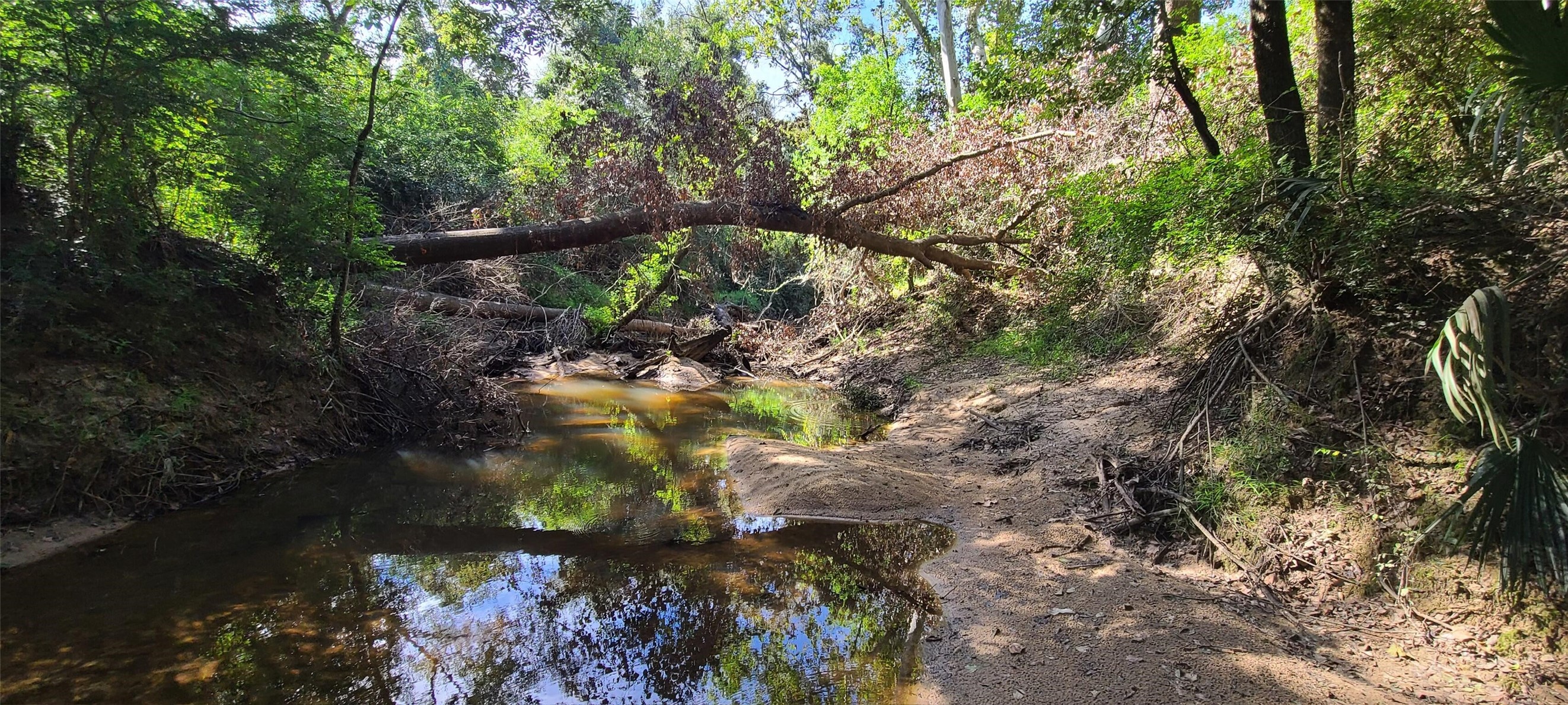 30403 Walnut Creek Road Magnolia, TX 77355 - Photo 8 of 9 a backyard of a house with a yard with outdoor seating
