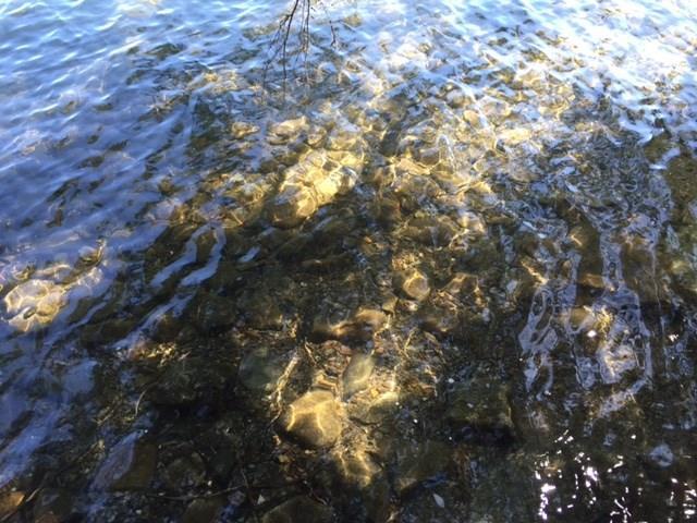 370 South Shore Road Island Falls, ME 04747 - Photo 9 of 12 Photo