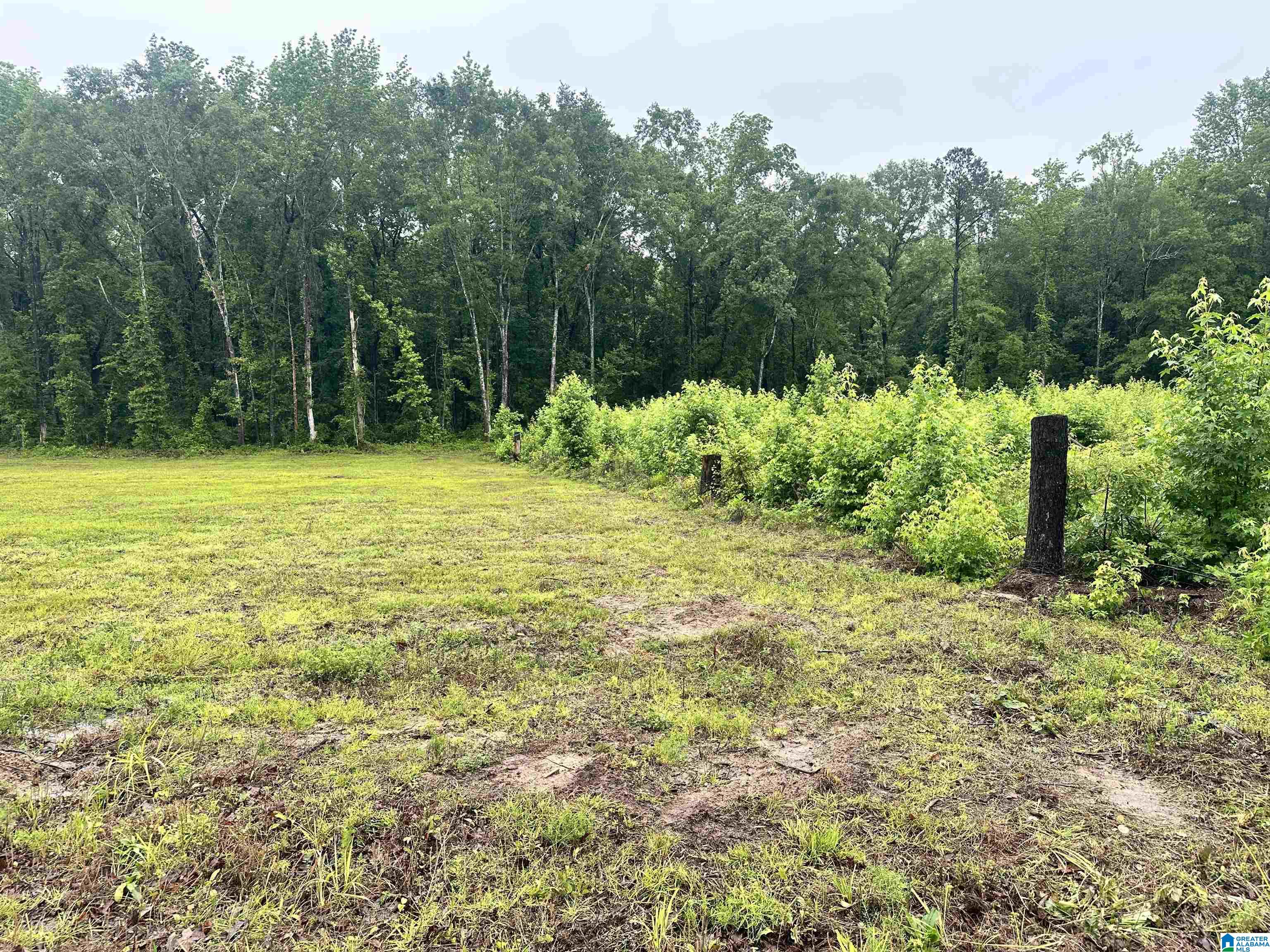 0 Ward School Road, Unit 1 Centreville, AL 35042 - Photo 2 of 4