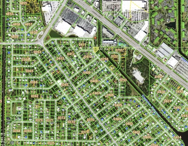 a close up of a plant in a garden