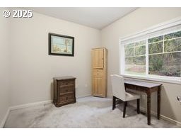 40971 Deerhorn Road Springfield, OR 97478 - Photo 38 of 46 Gallery Image 38
