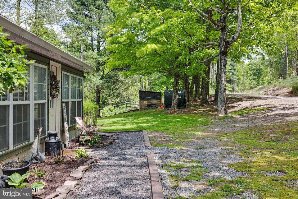 2025 Whiskey Run Road Muncy Valley, PA 17758 - Photo 11 of 54 Serene retreat amid lush greenery.