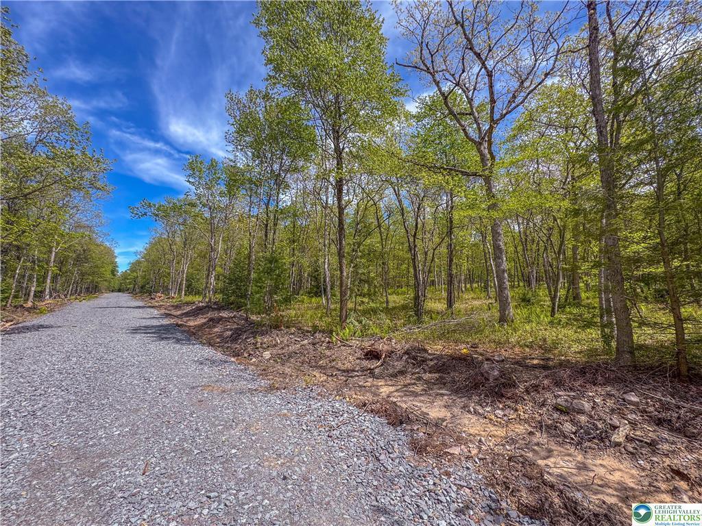 Lot 567 Cross Run Road Jim Thorpe, PA 18229 - Photo 1 of 7 GetMedia