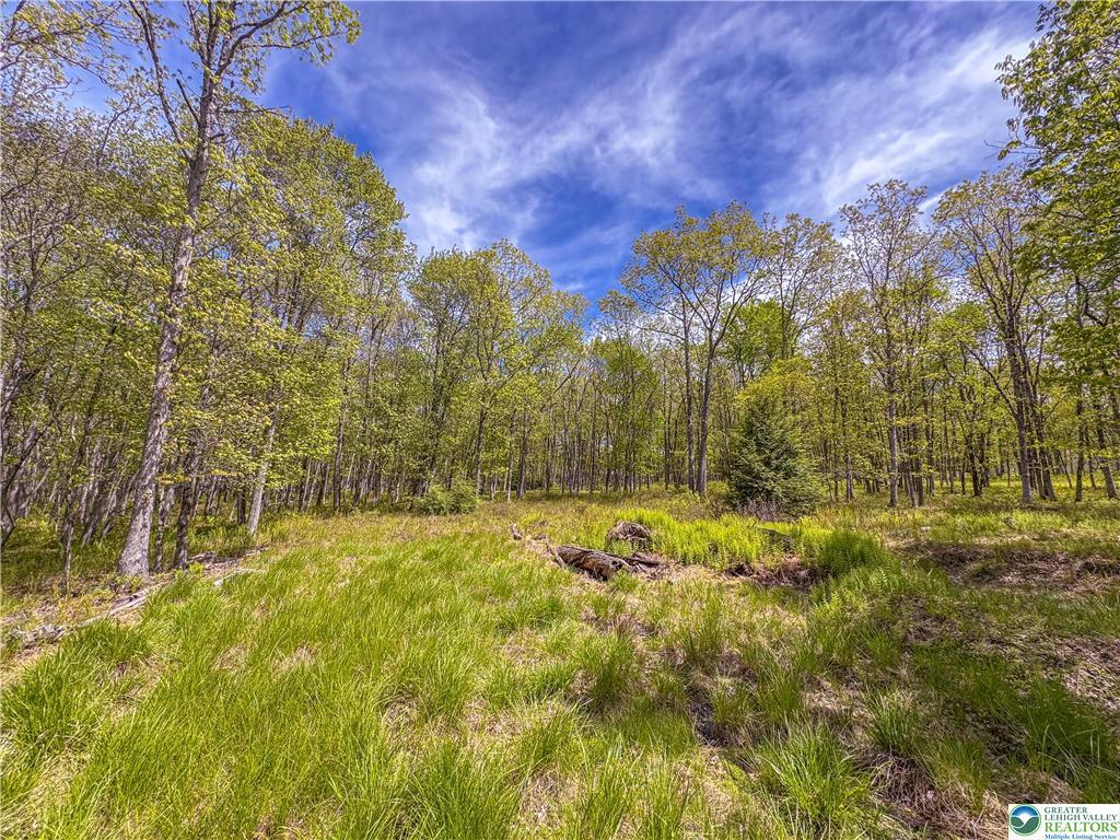 Lot 567 Cross Run Road Jim Thorpe, PA 18229 - Photo 2 of 7 GetMedia (1)