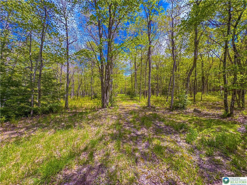 Lot 567 Cross Run Road Jim Thorpe, PA 18229 - Photo 3 of 7 GetMedia (2)