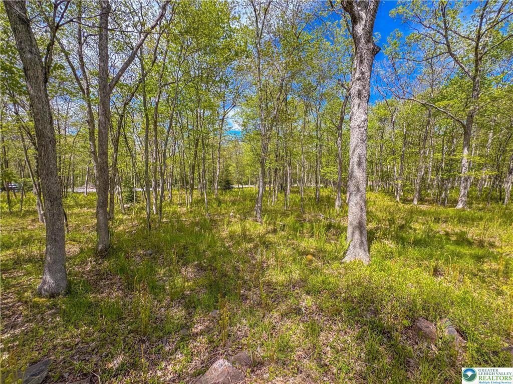 Lot 567 Cross Run Road Jim Thorpe, PA 18229 - Photo 4 of 7 GetMedia (3)