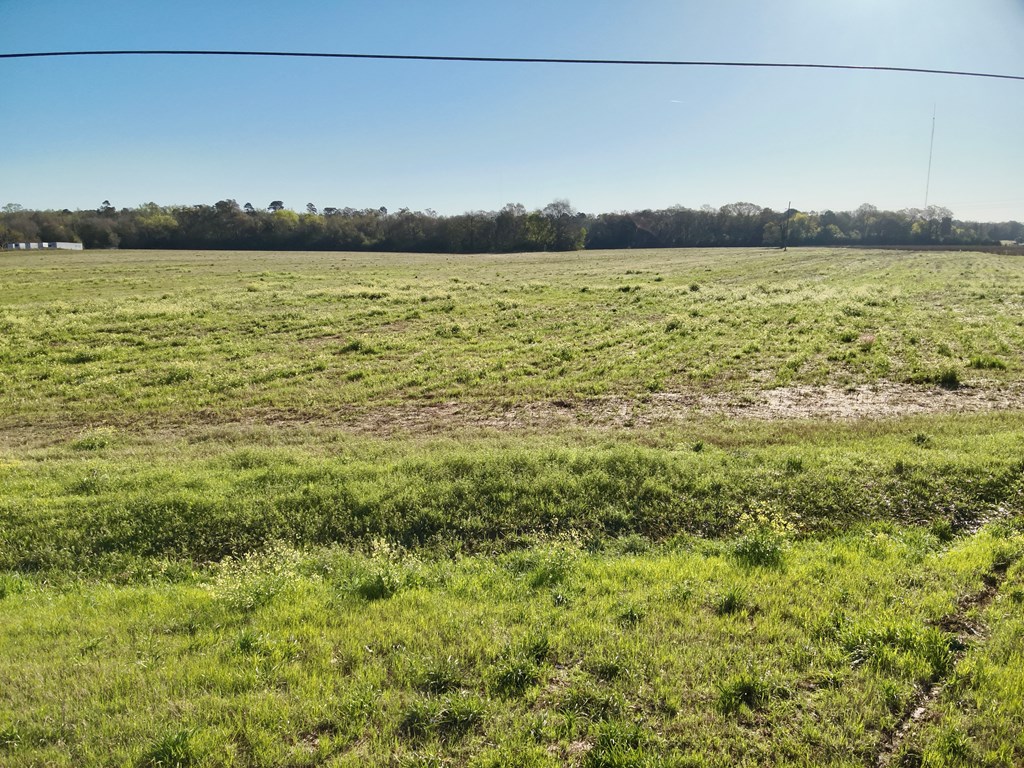 3.42-acres Omussee Road Cowarts, AL 36321 - Photo 5 of 13
