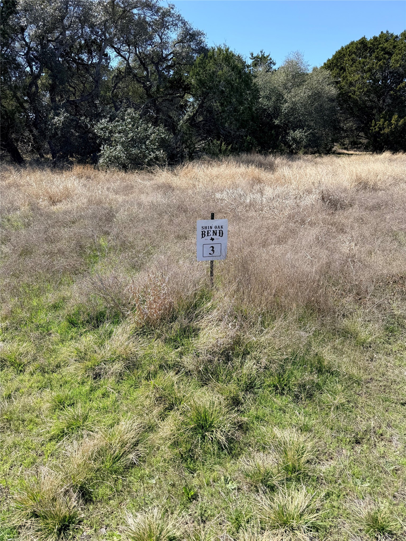 0 Riparian Elm Road, Unit 3 Bertram, TX 78605 - Photo 2 of 4 a view of a yard with a tree