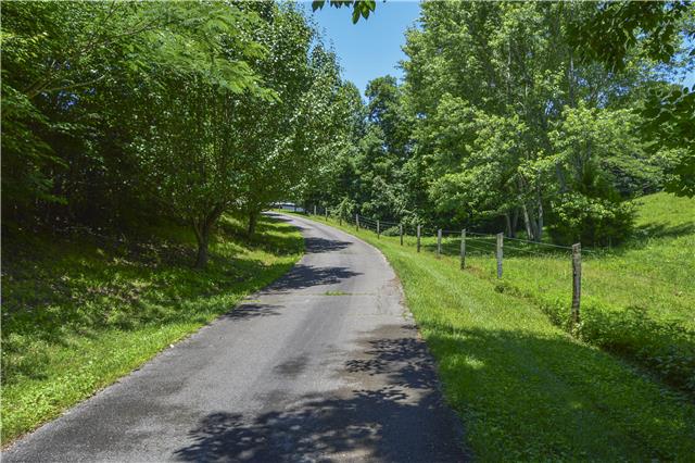 2662 Johnson Branch Road Leoma, TN 38468 - Photo 14 of 20 Long private paved driveway