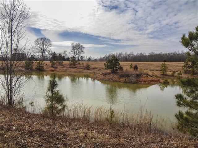 2662 Johnson Branch Road Leoma, TN 38468 - Photo 15 of 20 Gallery Image 15