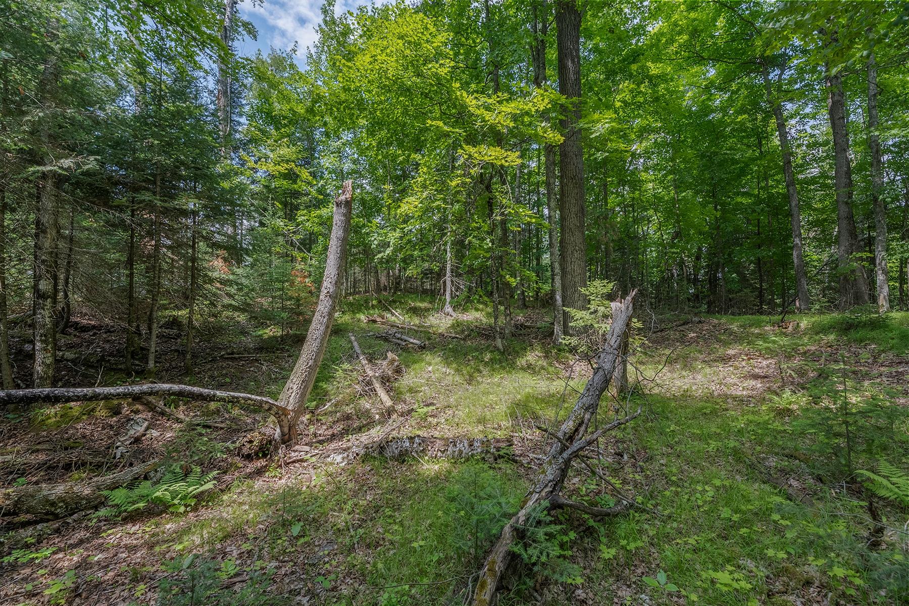 Lot 62 Bald Eagle Road Presque Isle, WI 54557 - Photo 8 of 35 Gallery Image 8
