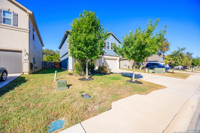 a view of a backyard with a tree