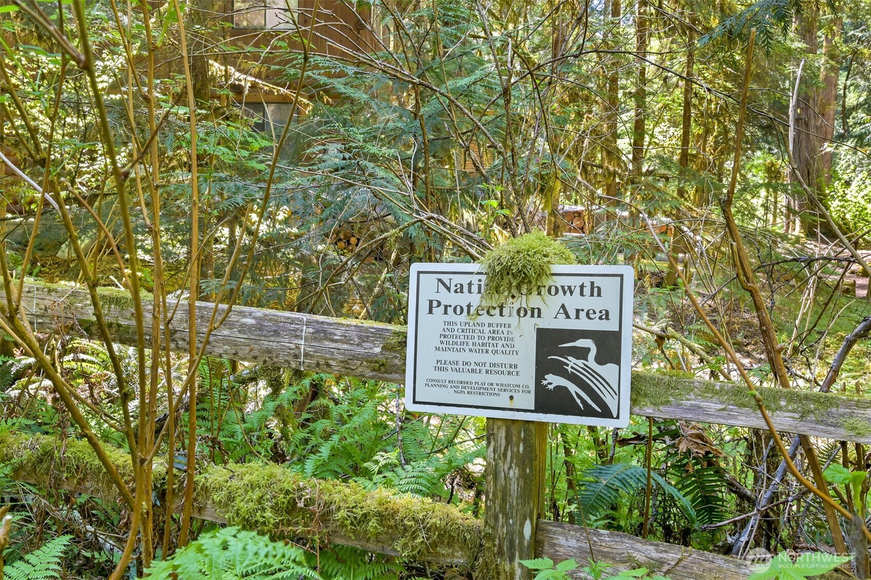 7117 Rainier Way Deming, WA 98244 - Photo 14 of 38