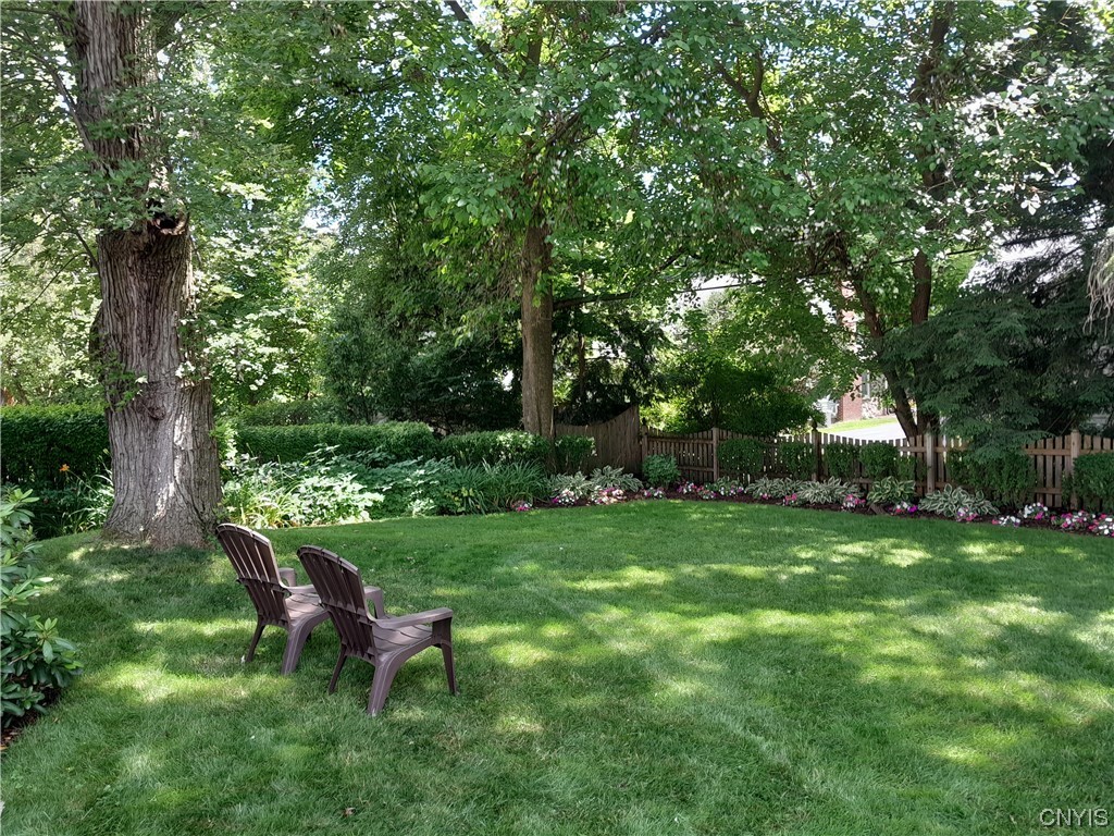 210 Pelham Road DeWitt, NY 13214 - Photo 23 of 25 Yard