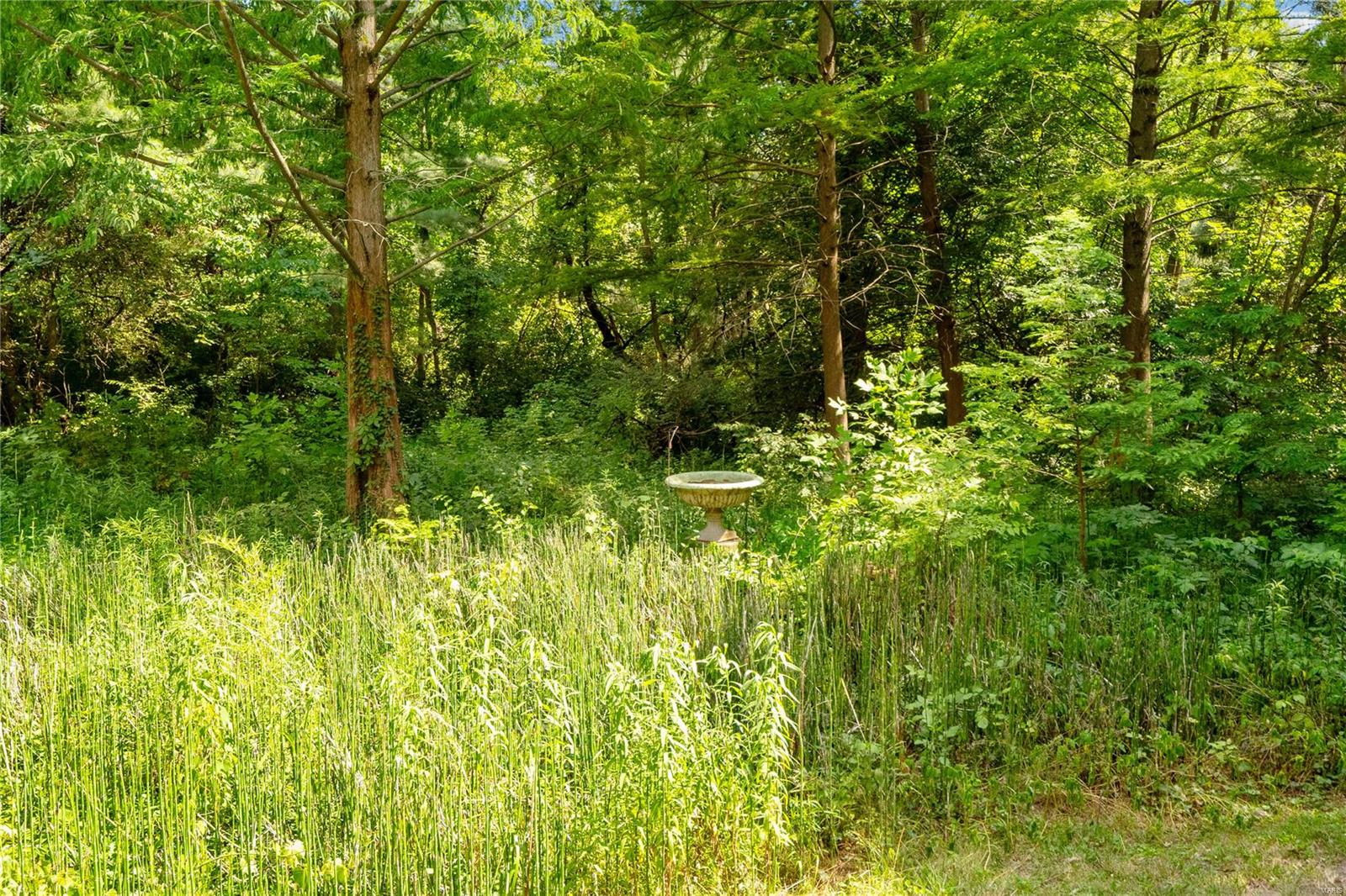 348 Avery Hill Belleville, IL 62223 - Photo 7 of 59