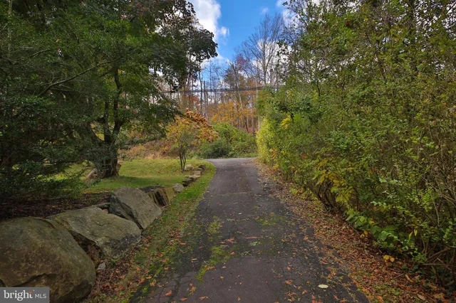 a view of backyard and garage