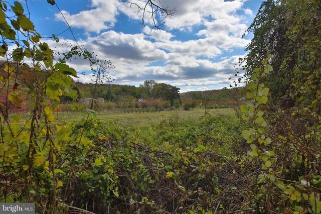a view of outdoor space and yard