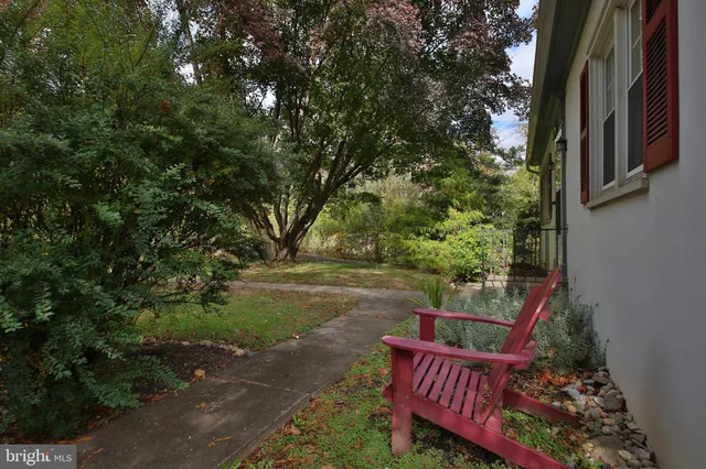 a view of a wooden deck with chairs and large trees