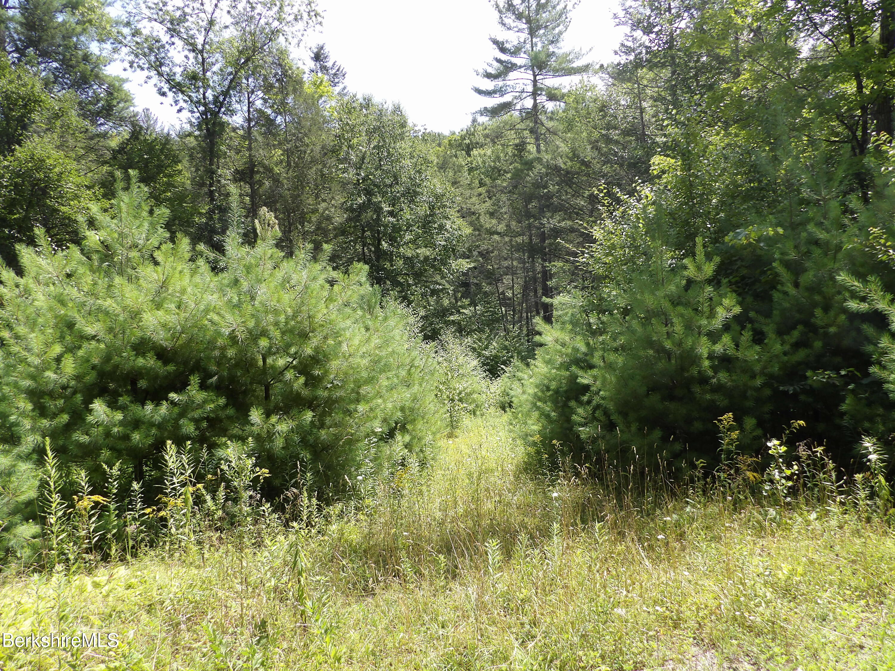 Avery Brook Road Charlemont, MA 01346 - Photo 10 of 19 ABR-COVER