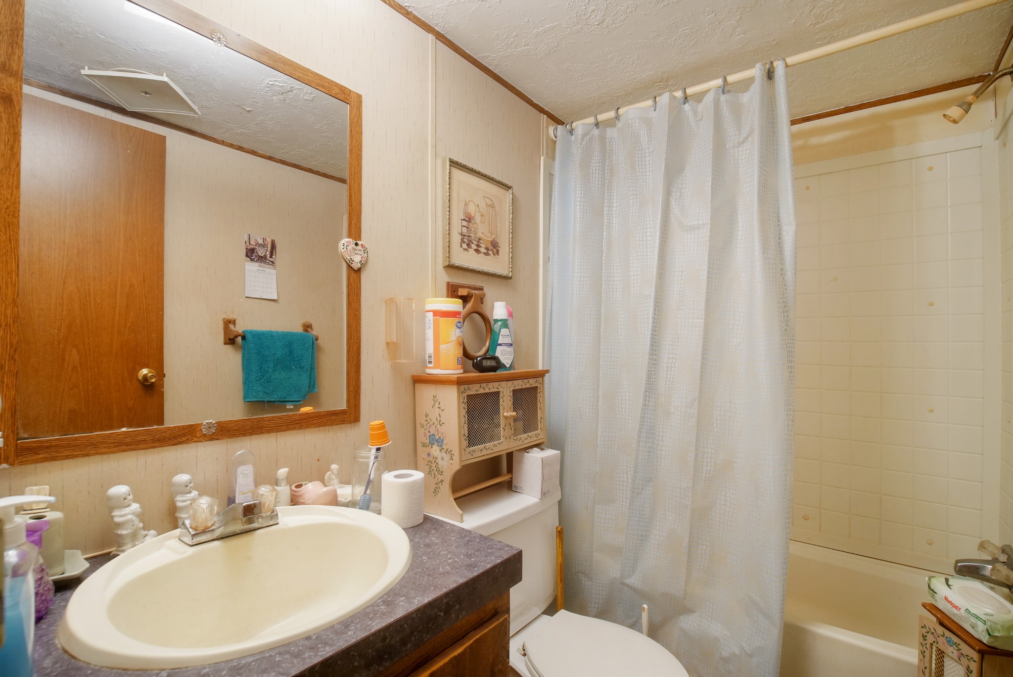 3925 Mobley's Cut Road Columbia, TN 38401 - Photo 22 of 31 a bathroom with a sink a toilet and shower curtain