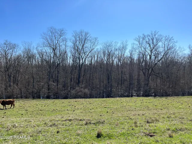 $480,000 | 3 South Levee Krotz Springs, Port Barre, LA 70577