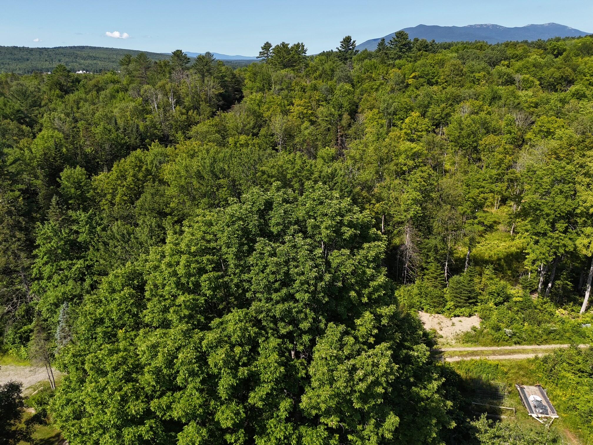 286 Lexington Road Kingfield, ME 04947 - Photo 54 of 58