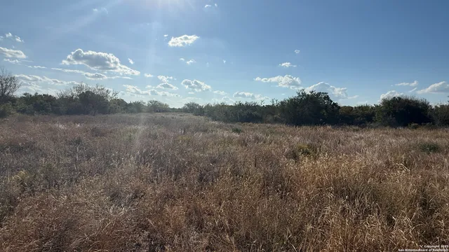 a view of a green field