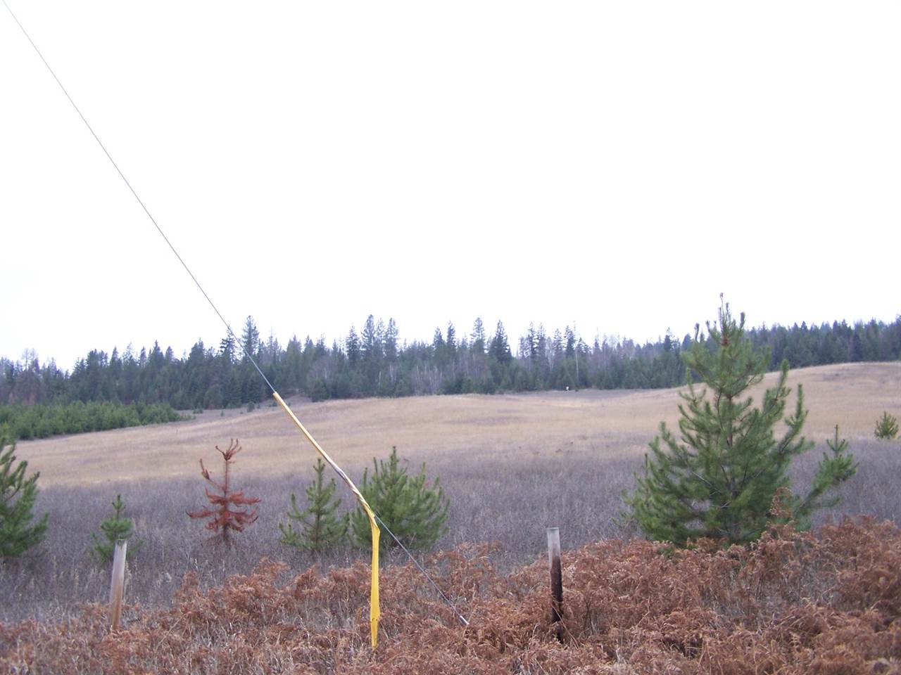 Lot C1 Greenhouse Road Ione, WA 99139 - Photo 11 of 11